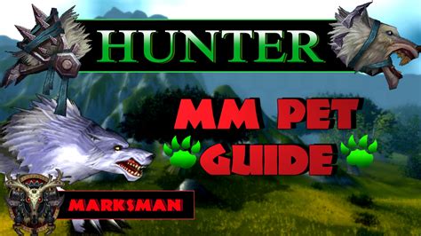 does marksman hunter use a pet